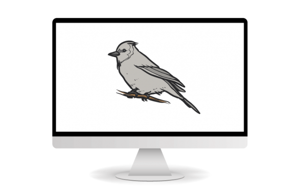 Silver Sparrow Malware Mac