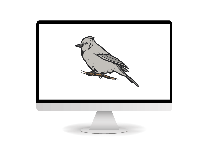 Silver Sparrow Malware Mac