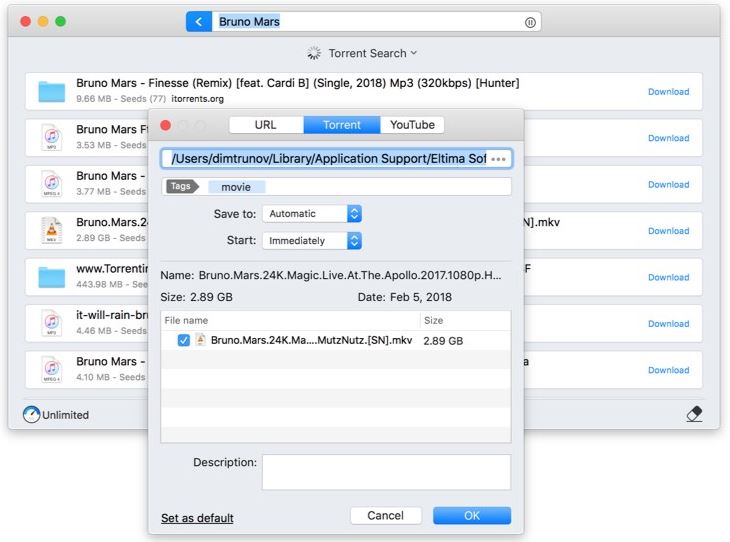 torrent downloader macos big sur