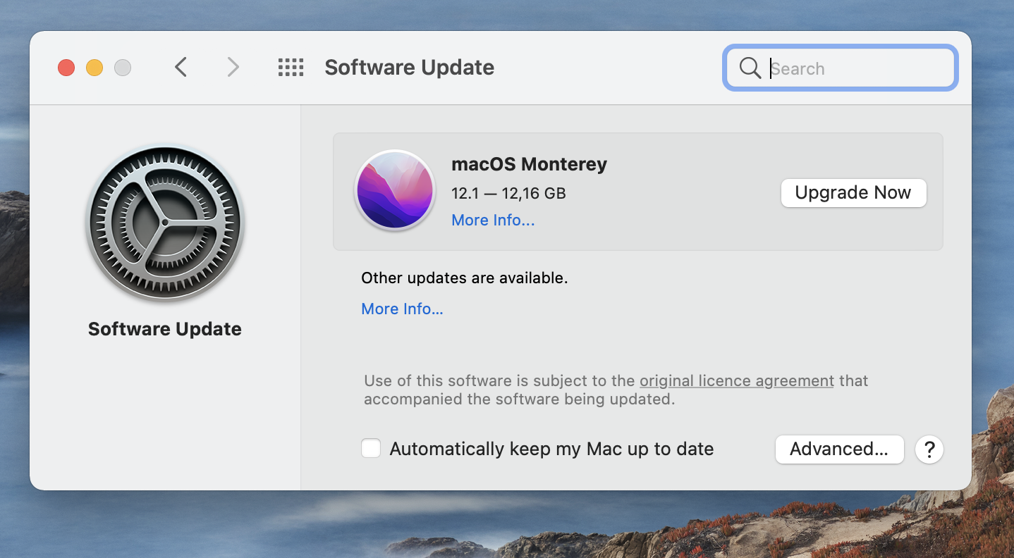 incorrect search in mac outlook incorrect search in mac outlook