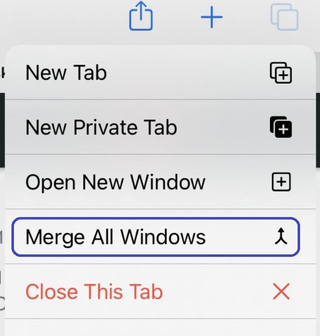 Disappearing Safari Tabs Fix