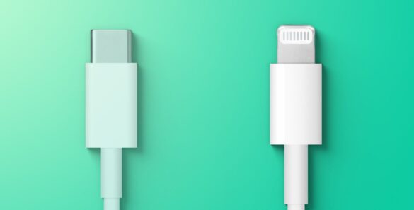 USB-C and Lightning Port cable