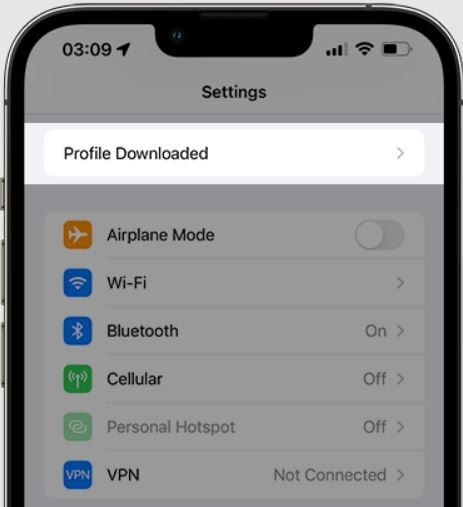 Download iOS profile
