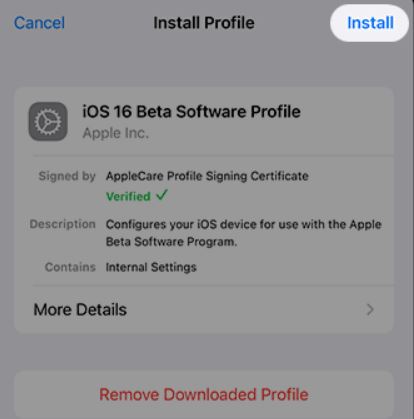 Install iOS 16 Beta profile