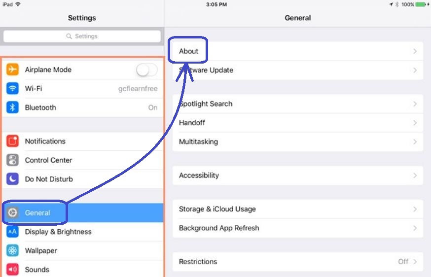 iPad Settings General