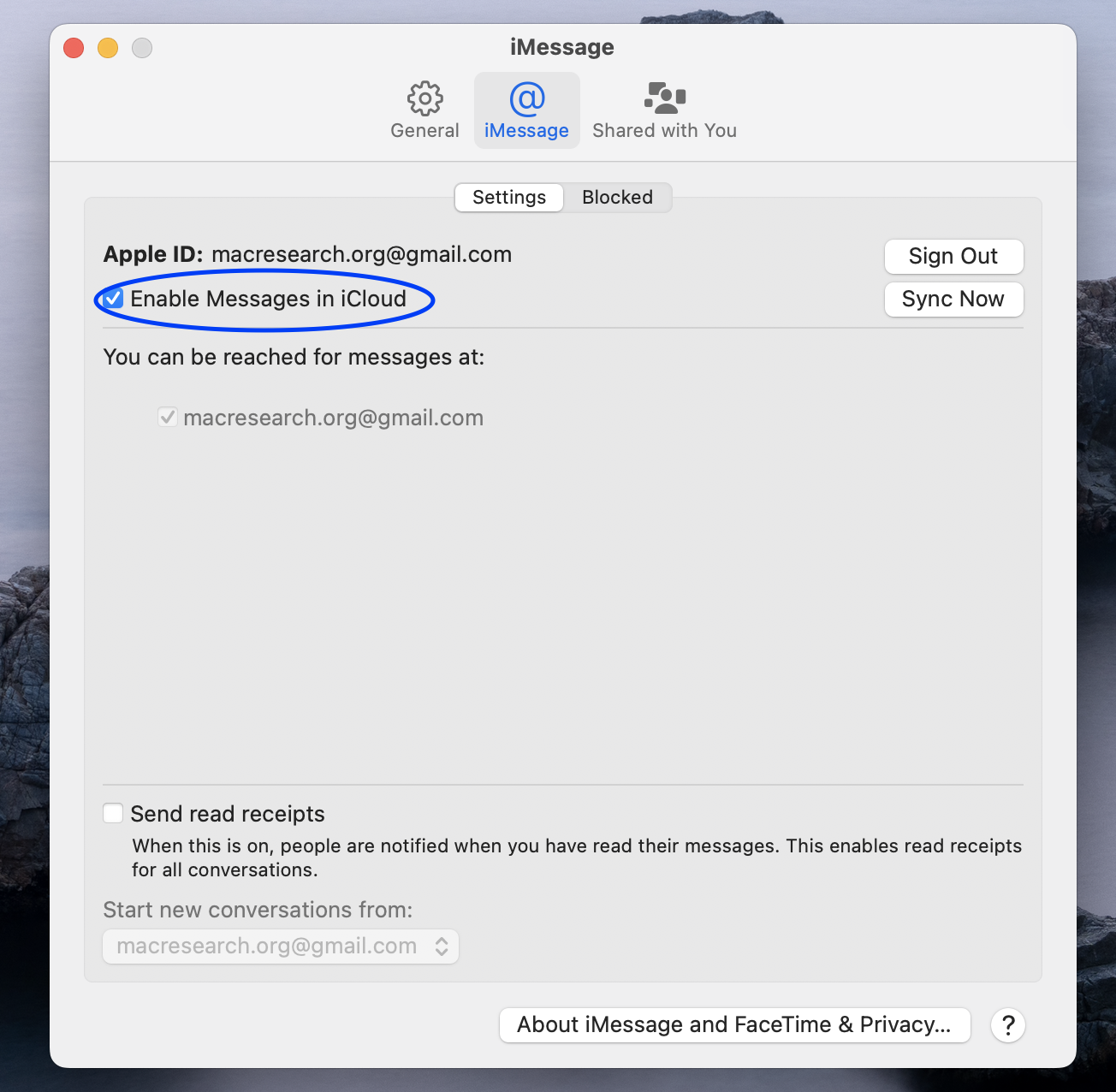 iMessage Enable Messages in iCloud