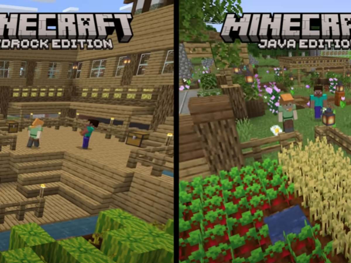 Minecraft Java & Bedrock