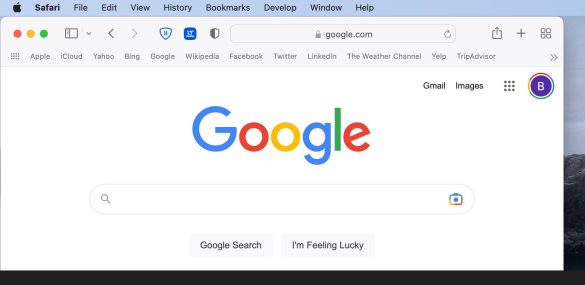 google on mac