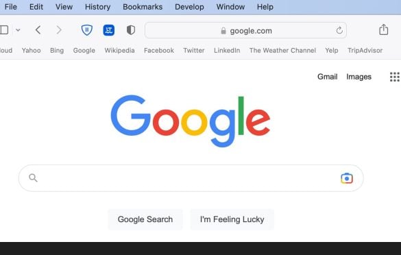 How to make Google my Homepage on Mac