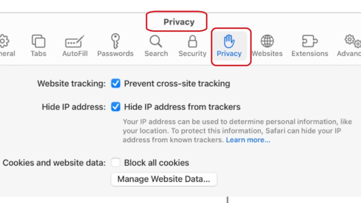 How To Enable Cookies Safari (Mac)