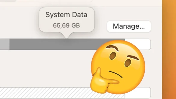 what is system data mac
