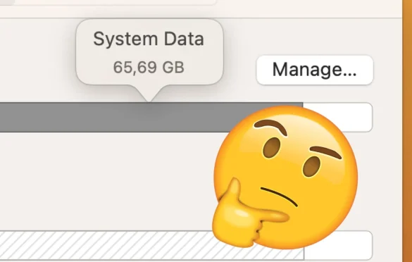 How to clear System Data on Mac