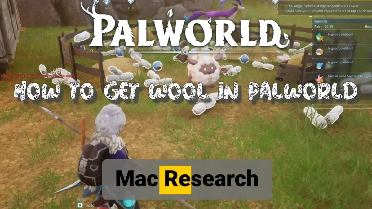 How To Get Wool In Palworld