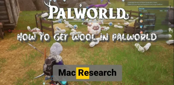 how to get wool in palworld