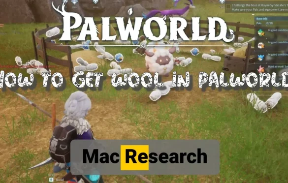 how to get wool in palworld