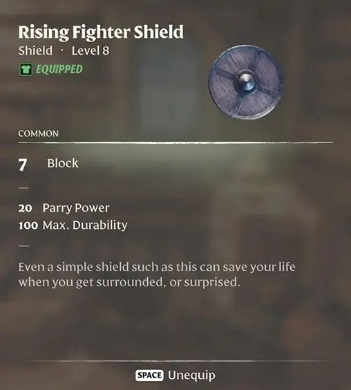 Enshrouded Rising Fighter shield