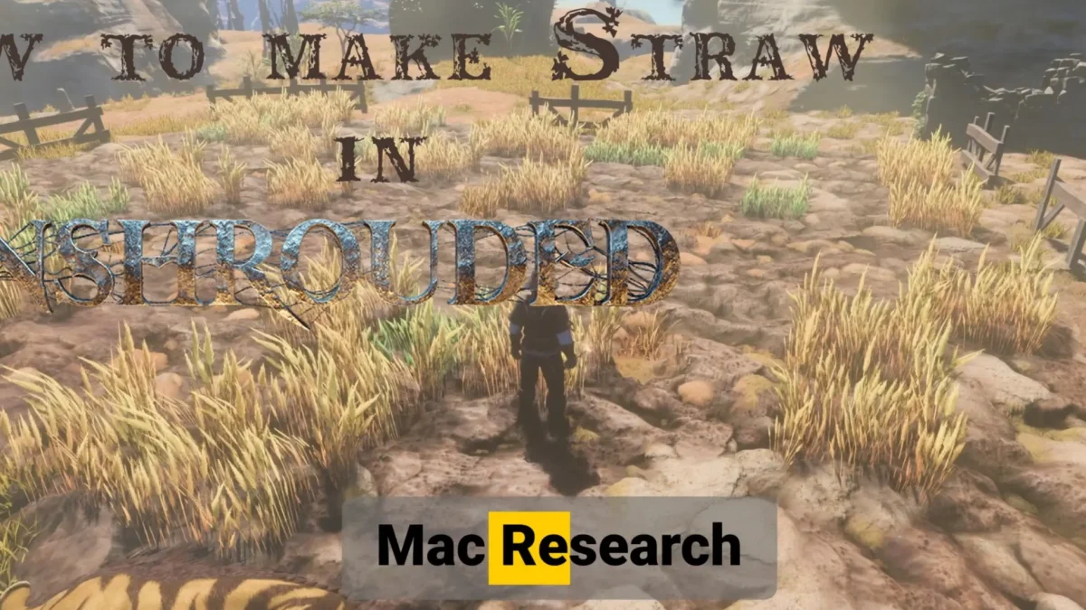 Enshrouded Straw – How To Get It