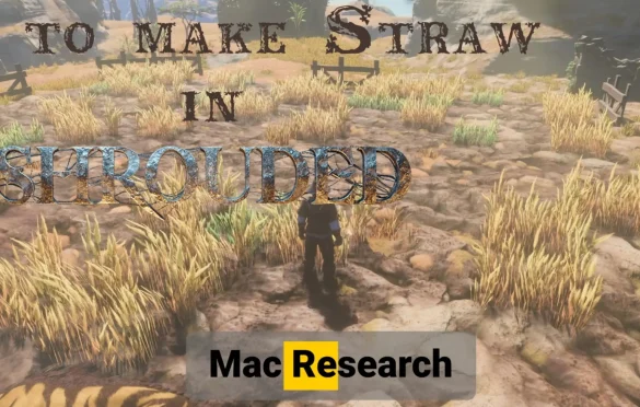 Enshrouded Straw – How To Get It