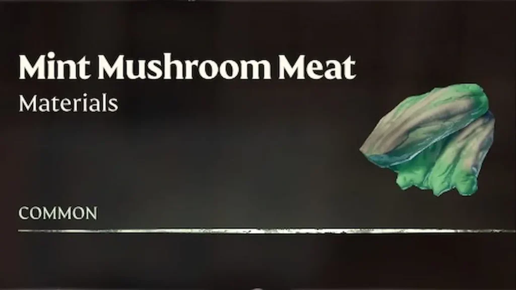 Mint Mushroom Meat