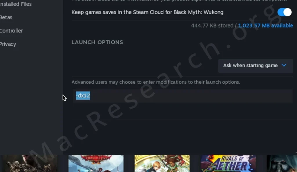 black myth wukong launch options dx12